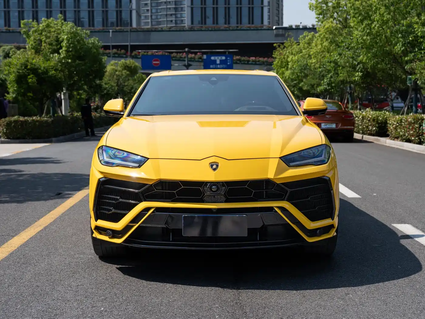Lamborghini Urus 2018 4.0T V8 фото 2
