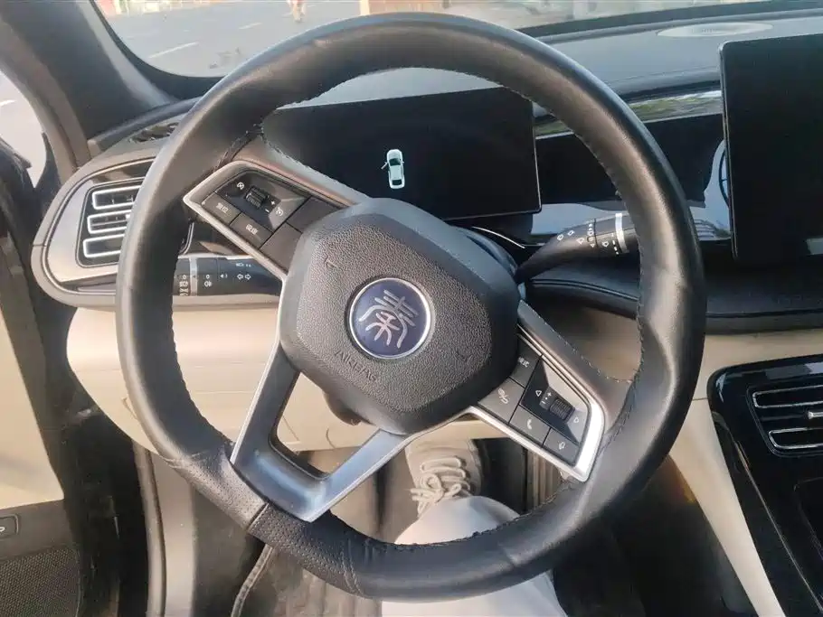 BYD Qin PLUS 2024 Glory Edition DM-i 55KM Leading фото 15