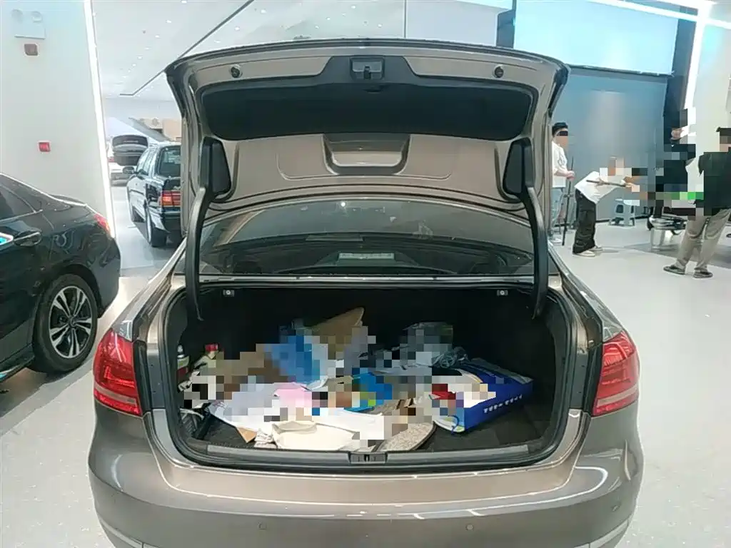 Volkswagen Passat 2014 1.8TSI DSG Luxury Edition фото 19