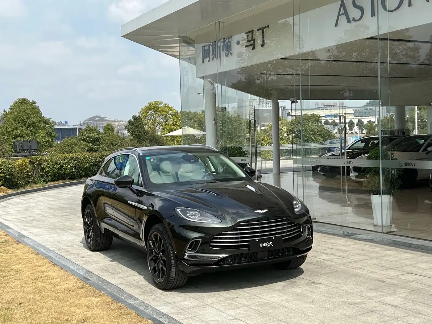 Aston Martin DBX 2022 2022 4.0T V8