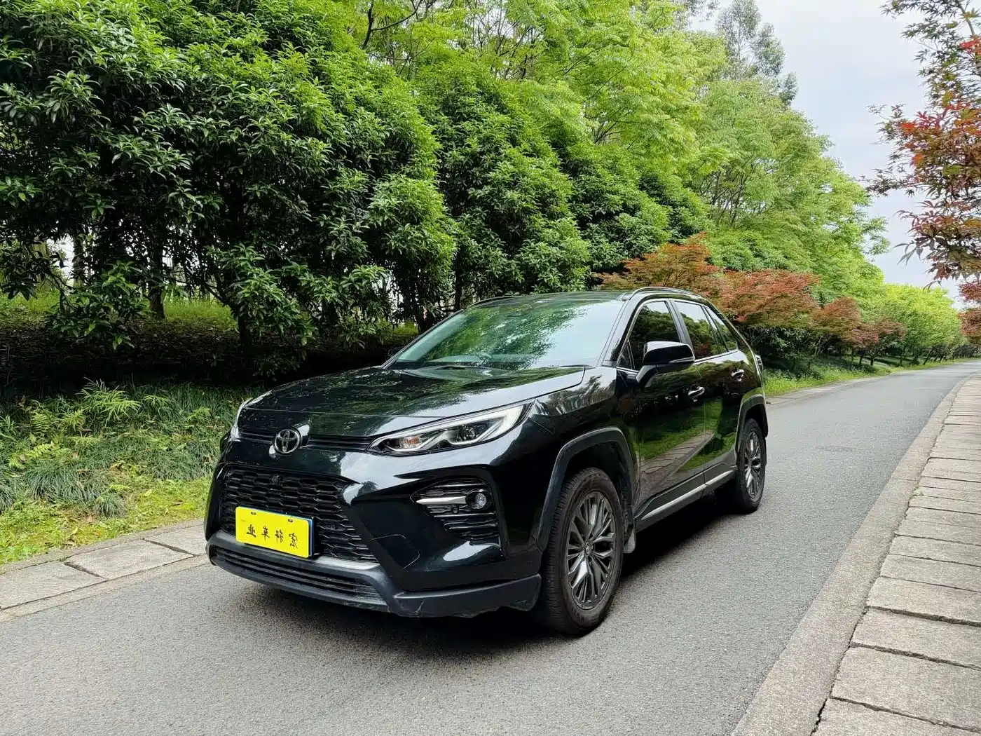 Toyota Wildlander 2023 2.0L CVT FWD Luxury PLUS