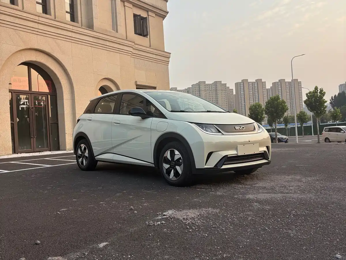 BYD Dolphin 2026 2025 420km Freedom Edition
