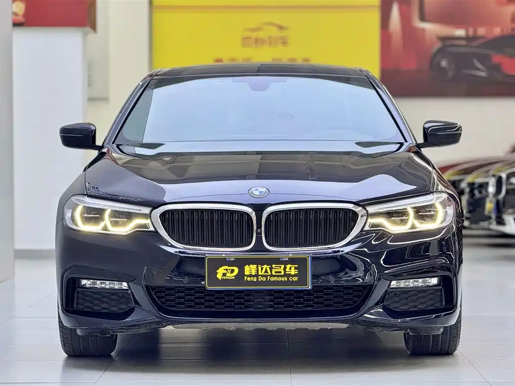 BMW 5 Series 2018 530Li Premium M Sport Package фото 3