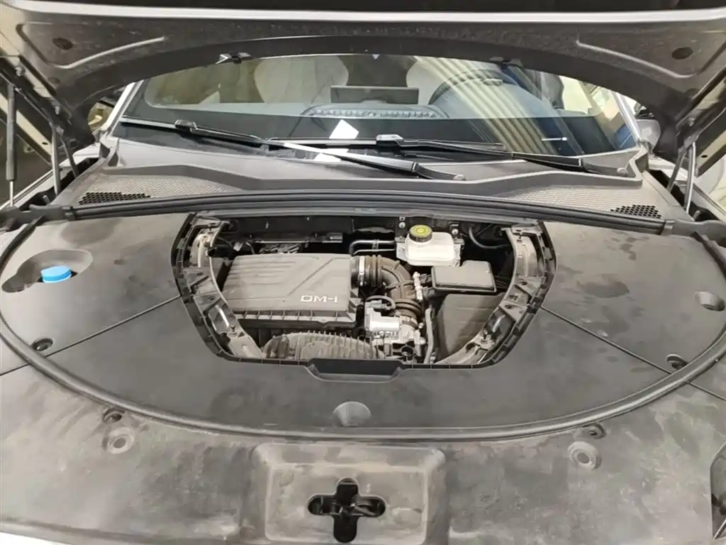 BYD Song PLUS PHEV 2023 Champion Edition DM-i 110KM Flagship фото 20