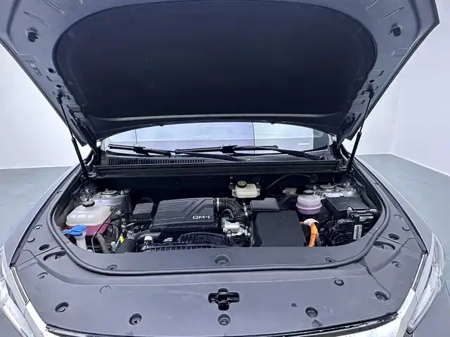BYD Song Pro New Energy 2025 2024 Glory Edition DM-i 71KM Pilot