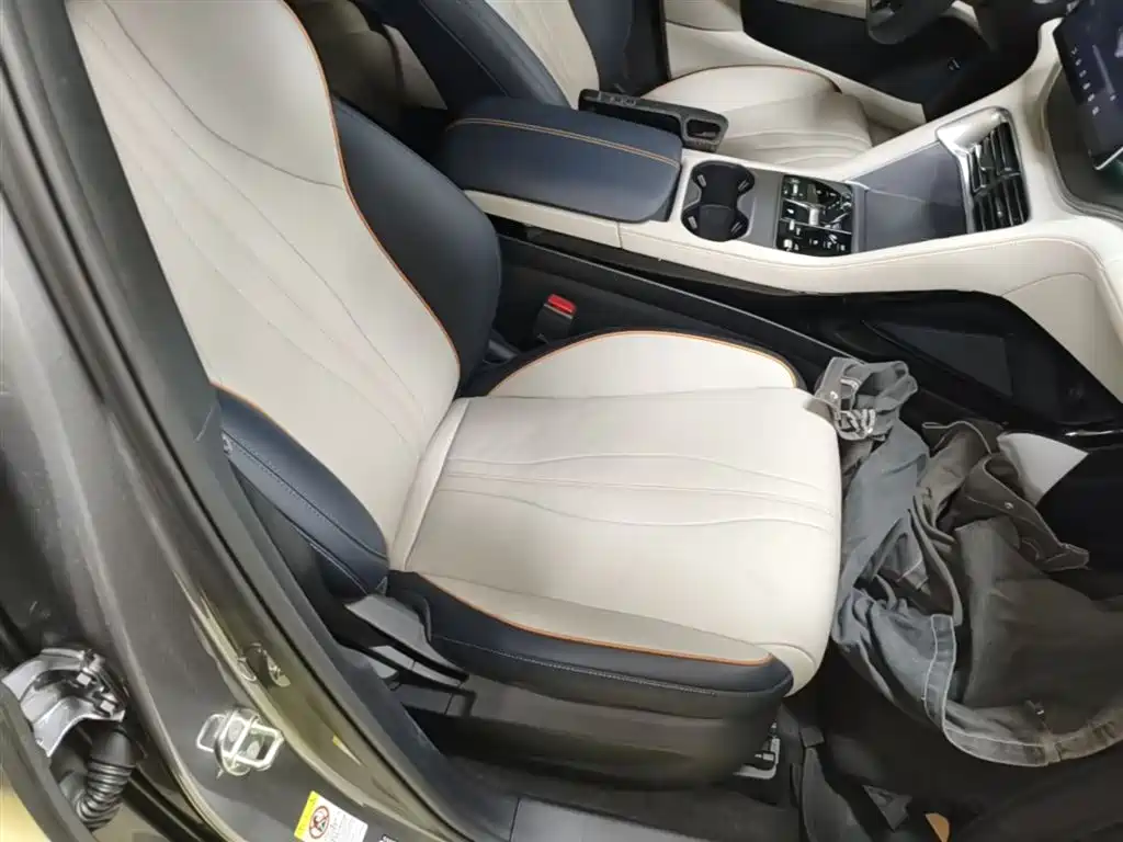 BYD Song PLUS PHEV 2023 Champion Edition DM-i 110KM Flagship фото 25