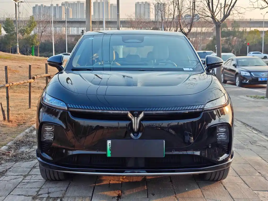 صورة 5 - Voyah Auto Voyah Zhiyin