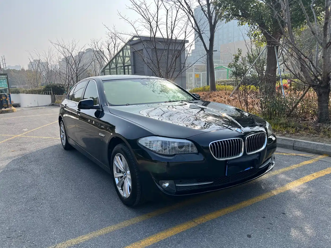 BMW 5 Series 2013 525Li Leadership фото 3