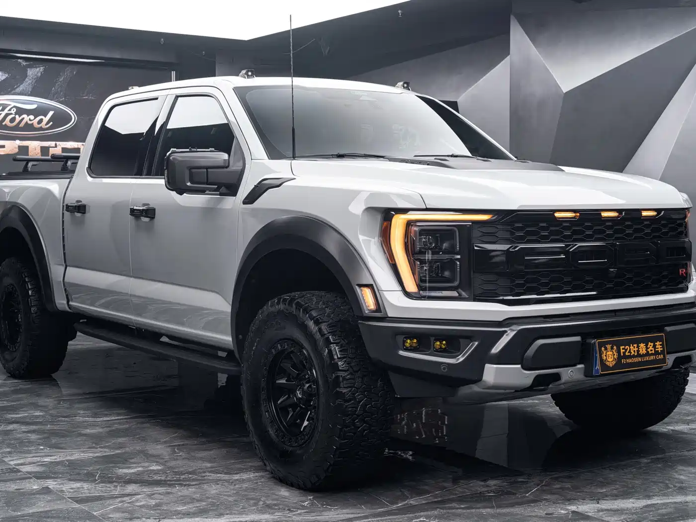 Ford F-150 Raptor 2024 2023 3.5T Raptor Snow Pride Special Edition