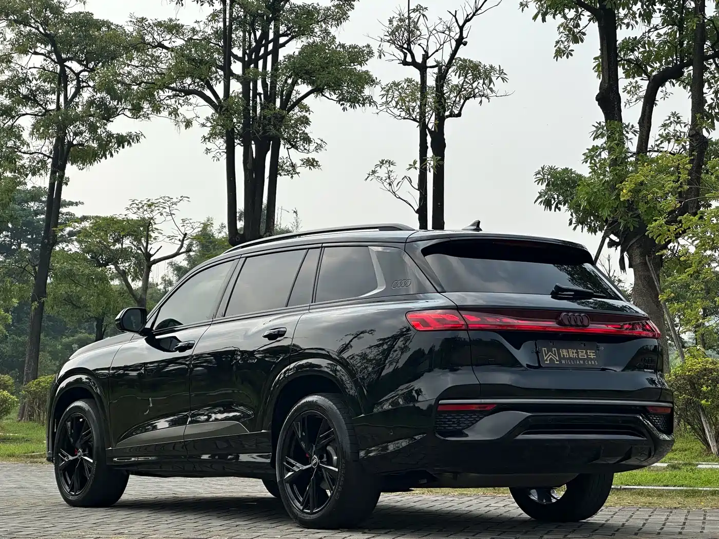 Audi Q6 2024 2024 45 TFSI quattro Black Warrior Edition 6-seater