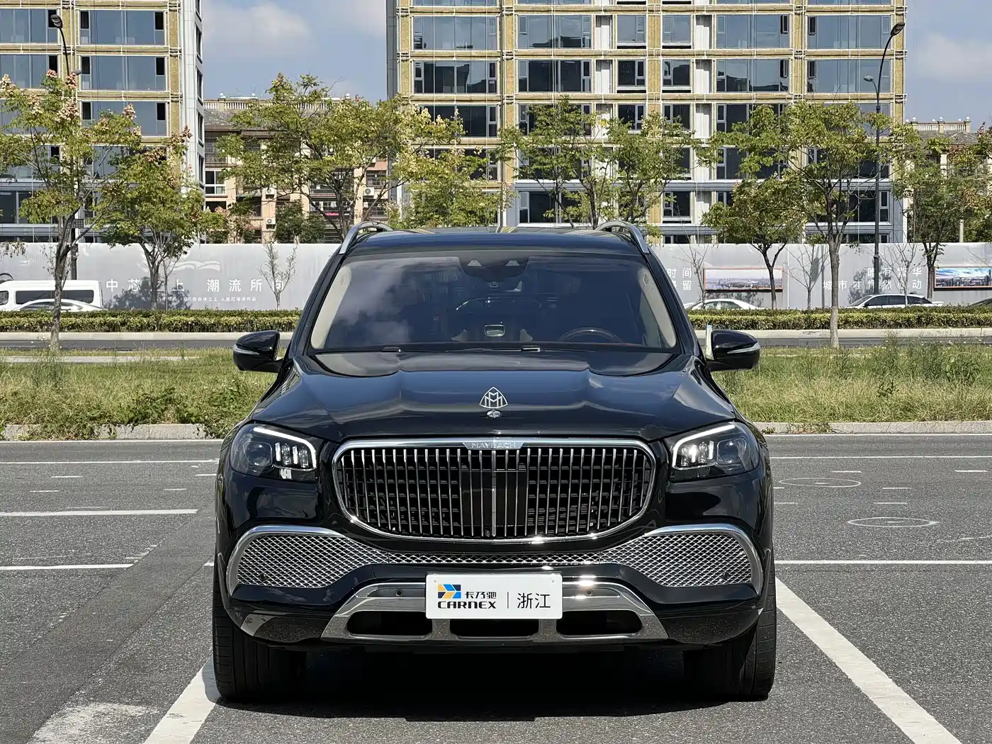 Mercedes-Benz Maybach GLS 2021 GLS 600 4MATIC Ritual Edition фото 3