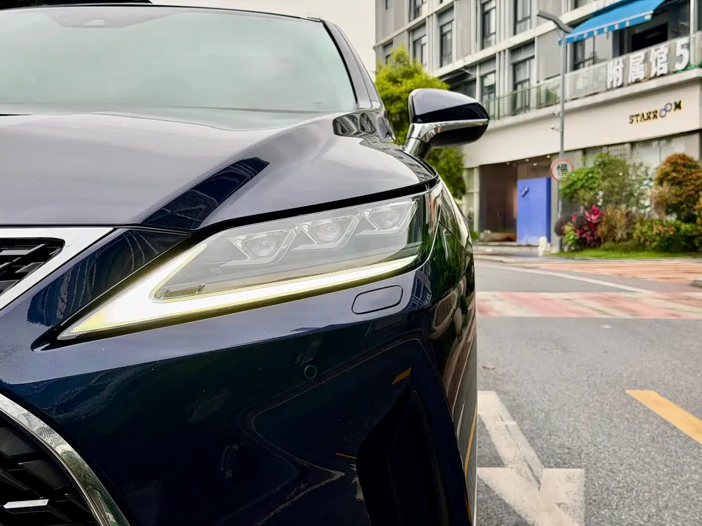 Lexus RX 2020 Facelift 300 AWD Elegance Edition фото 2