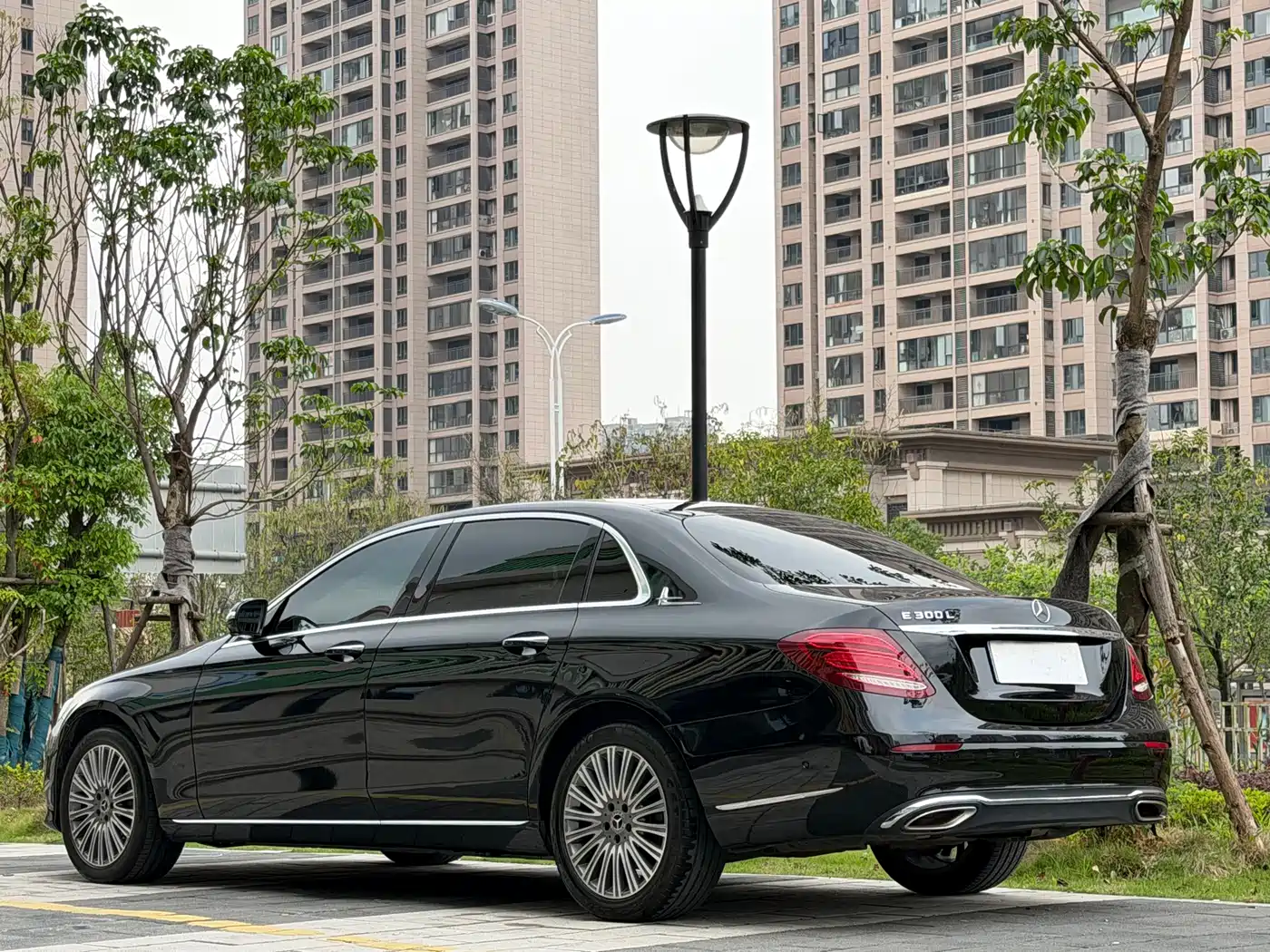 Mercedes-Benz E-Class 2020 E 300 L Fashion фото 4
