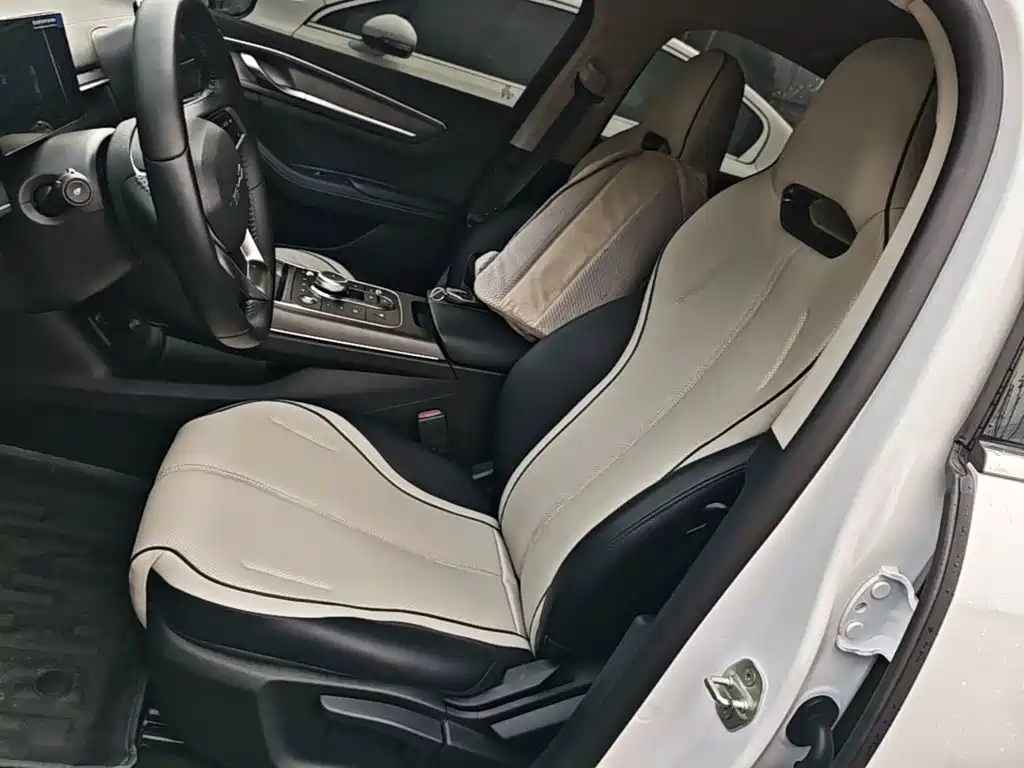 BYD Destroyer 05 2025 2024 Glory Edition DM-i 55KM Luxury