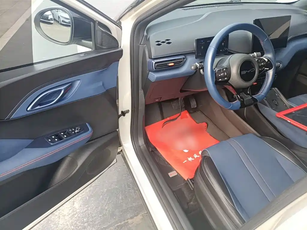 BYD Seagull 2023 Freedom Edition фото 16