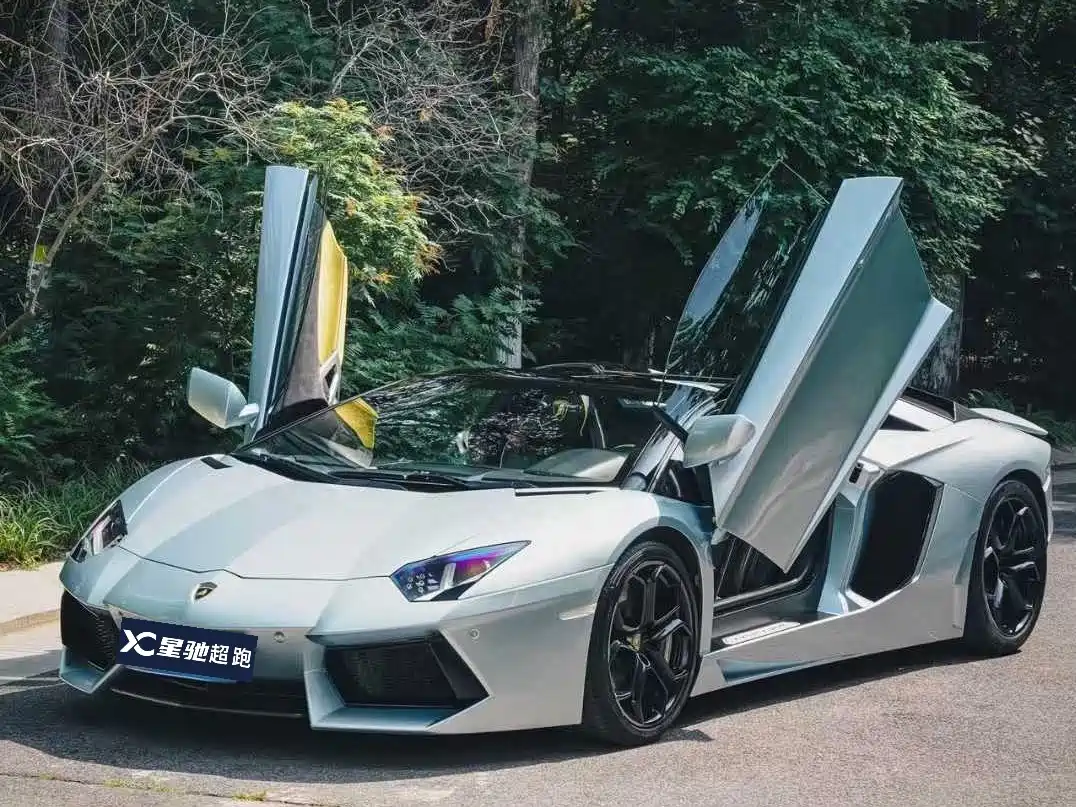 Lamborghini Aventador 2013 LP 700-4 Roadster