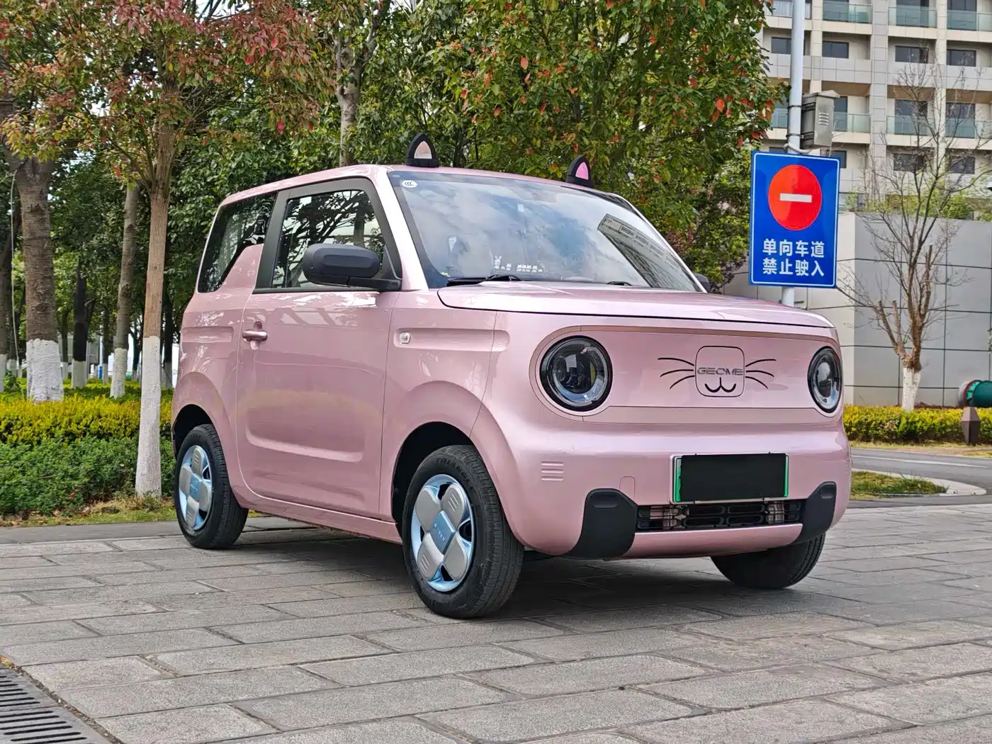GEELY GALAXY PANDA