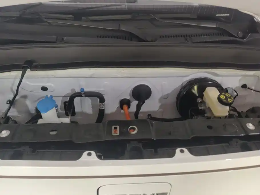 Geely Galaxy Panda 2025 2024 Panda mini 200km Endurance Bear