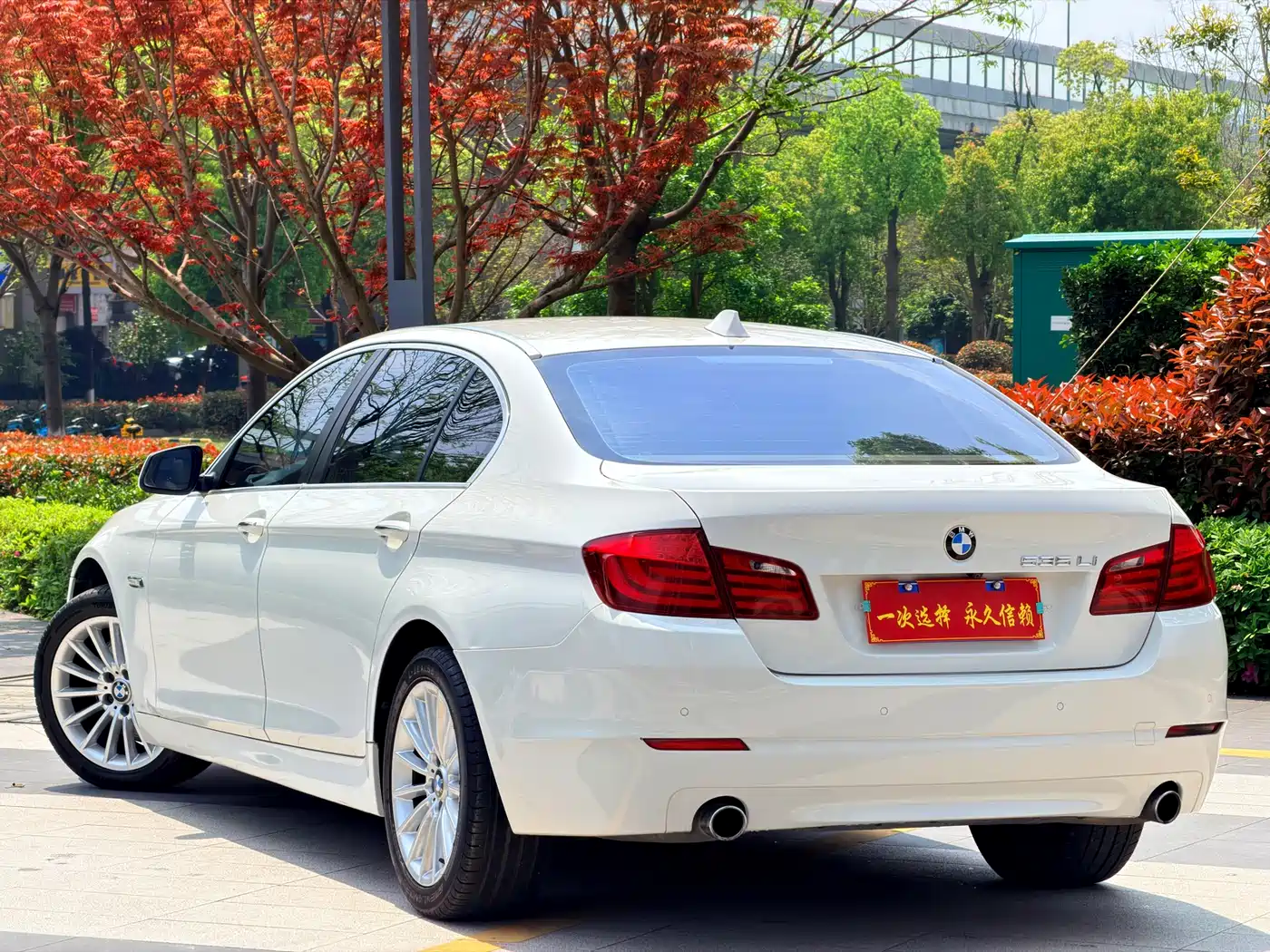 BMW 5 Series 2013 535Li Leadership фото 15