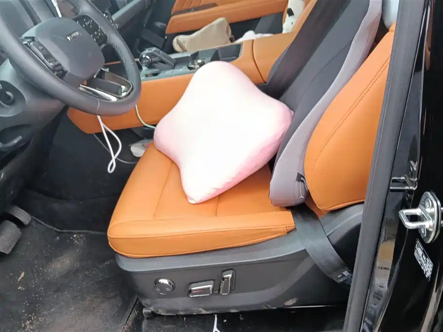 Haval Meng Long NEV 2024 Hi4 102 Pro фото 9