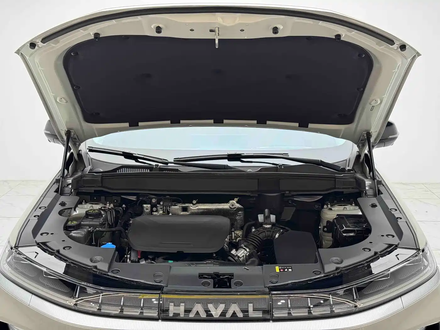Haval Xiaolong MAX 2025 2025 Hi4 110 Plus Intelligent Driving Edition