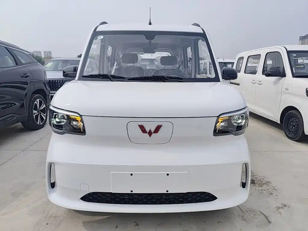 Wuling Motors Wuling Zhiguang NEV 2026 2025 Model 305km Base Version