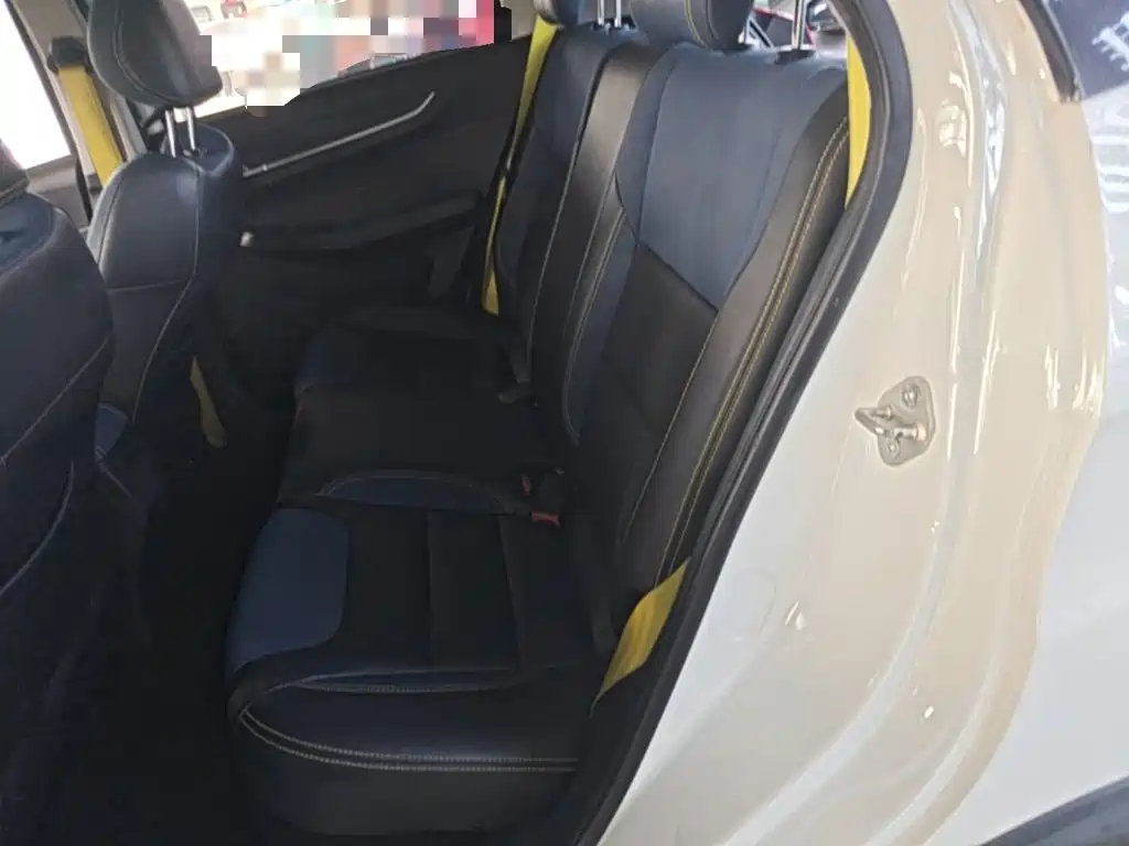 Geely Geometry EX3 Kung Fu Bull 2022 2021 Kung Fu Niu Niu