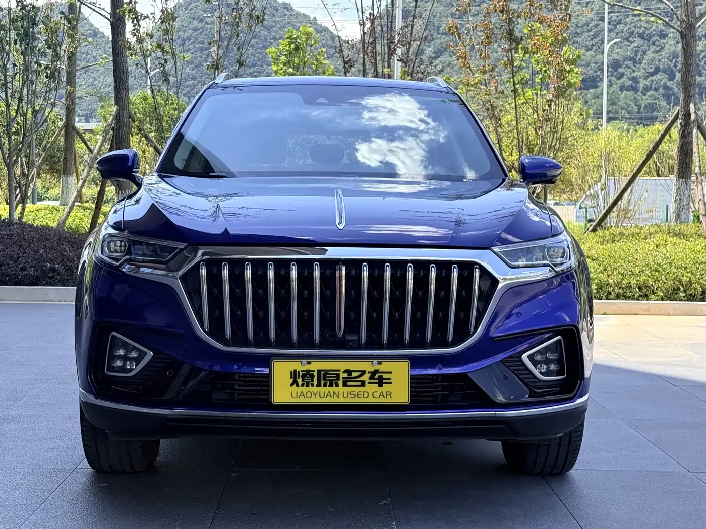 Фото 2 - Hongqi HS5