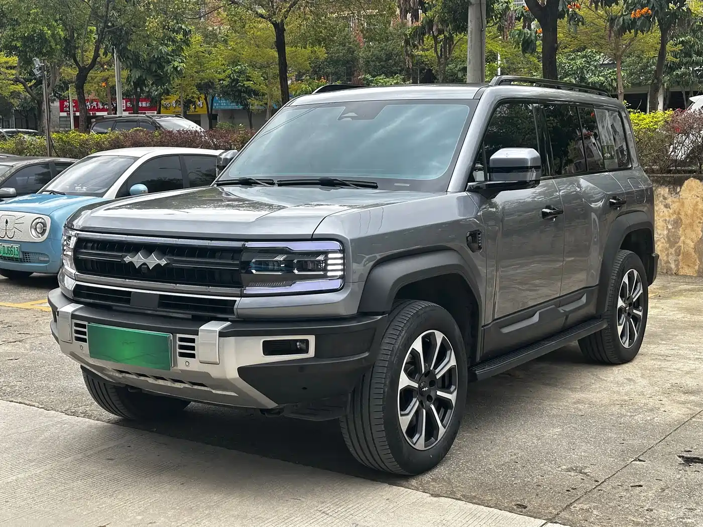 FANG CHENG BAO LEOPARD 5