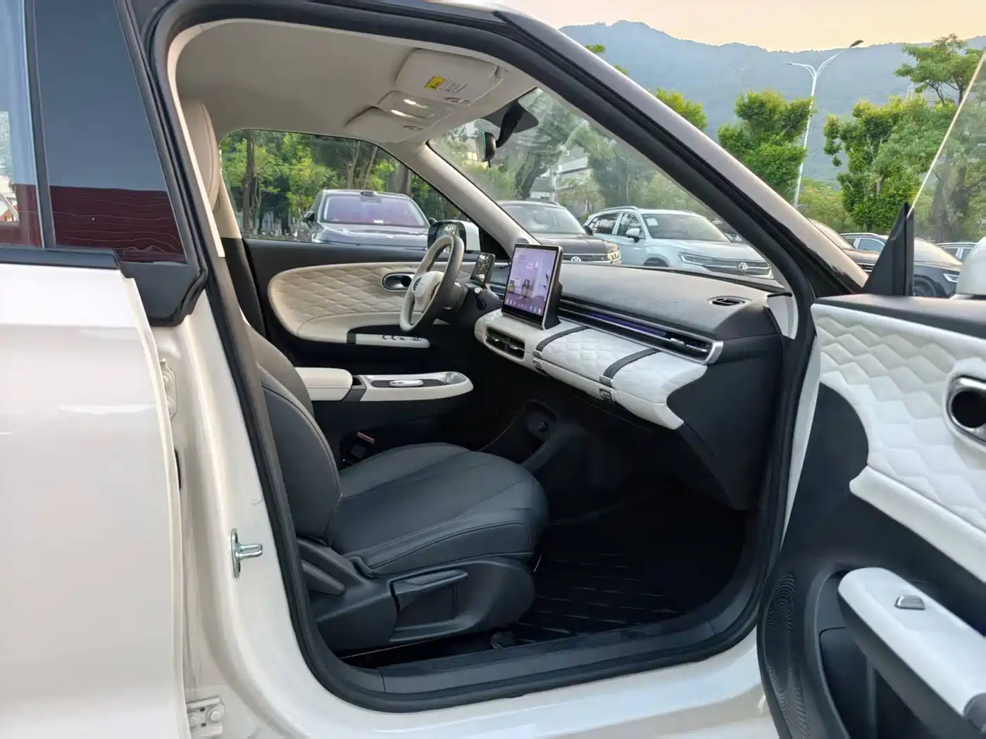 Dongfeng Yipai Nano 01 2025 2024 430 Plus Smart+