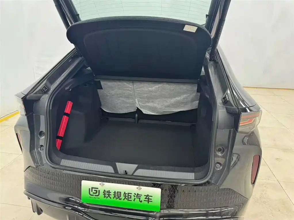 VOLKSWAGEN WITH THE CROWD 06