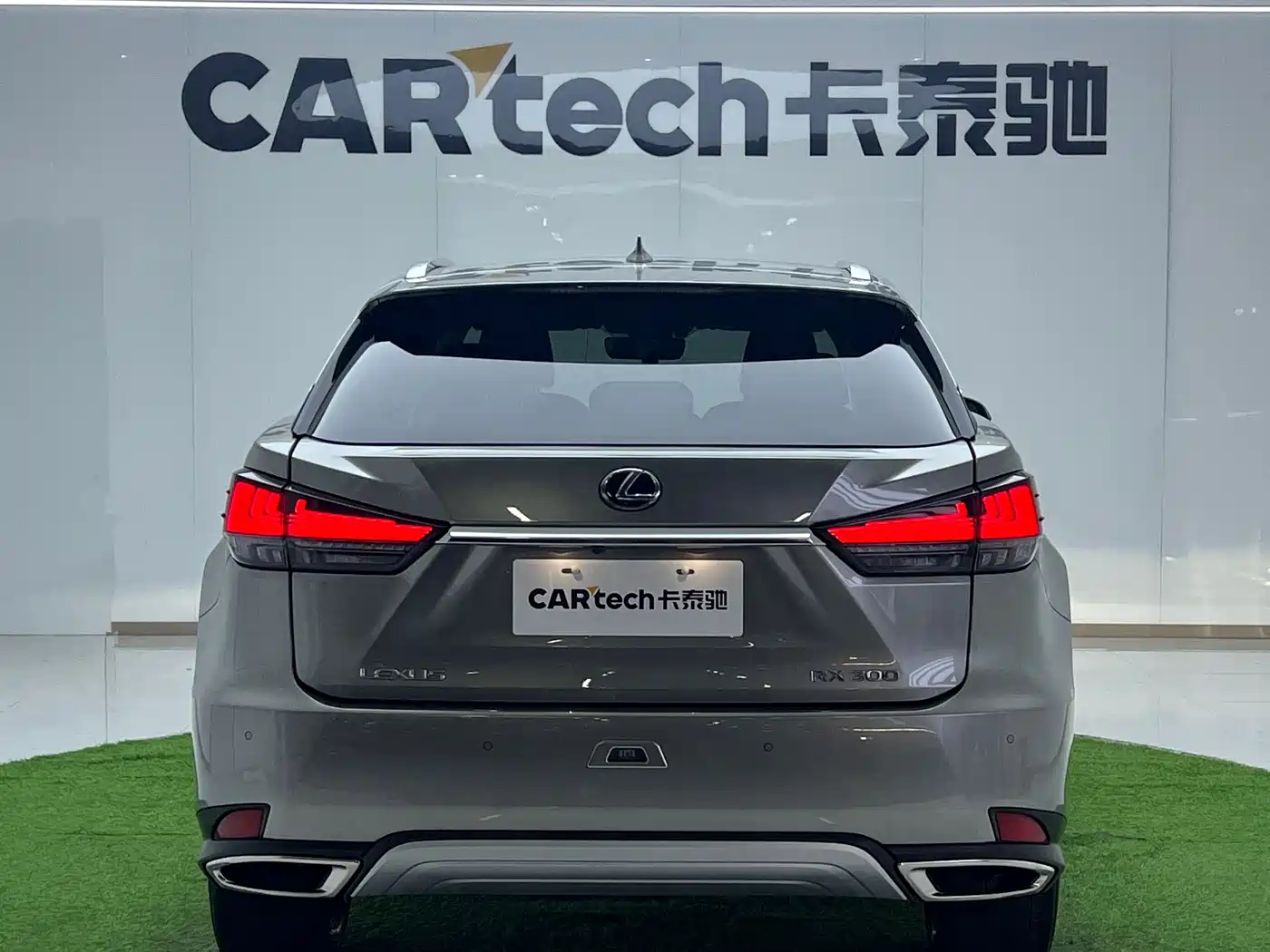 Lexus RX 2021 300 AWD Special Edition фото 7