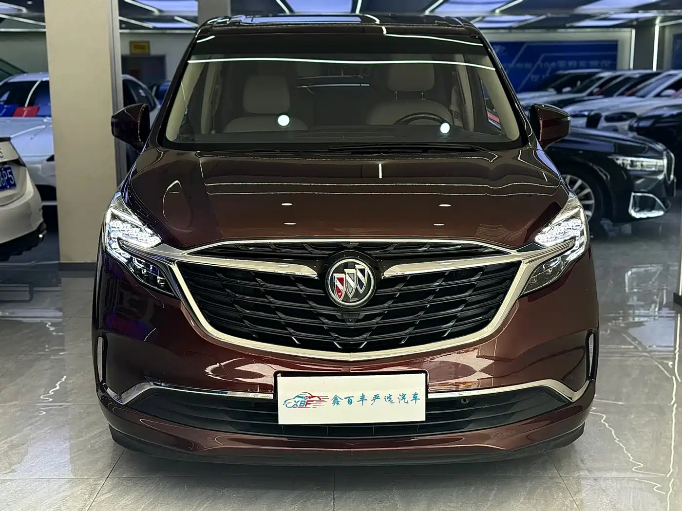 Buick GL8 2022 ES Landmark 653T Comfort фото 2