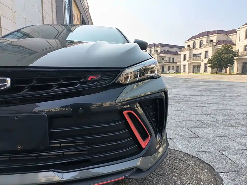 Фото 24 - Geely Binrui