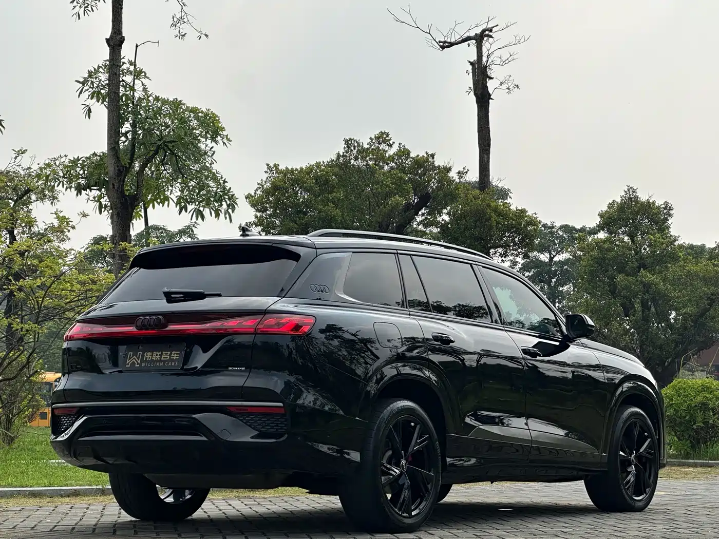 Audi Q6 2024 2024 45 TFSI quattro Black Warrior Edition 6-seater