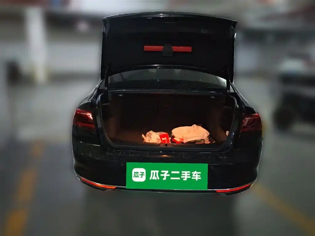 Volkswagen Magotan 2020 330TSI DSG Leading фото 16