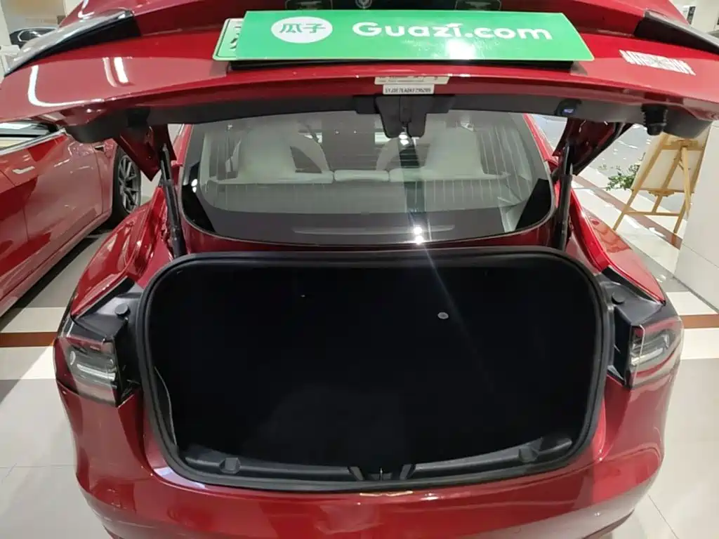 Tesla Model 3 (Import) 2019 2019 Long Range RWD Version