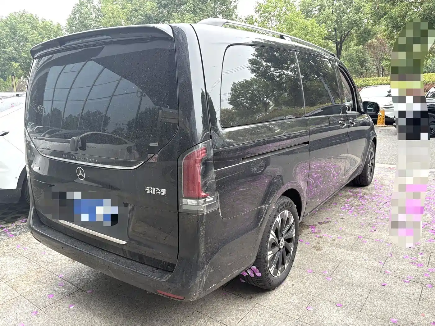 Mercedes-Benz V-Class 2025 2024 V 300 Pilot Edition