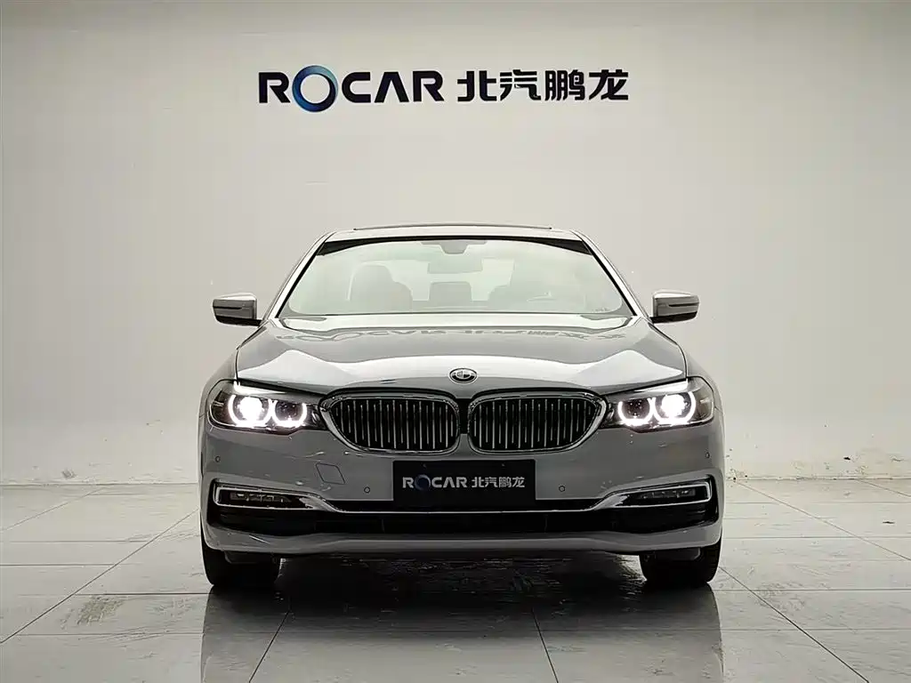 BMW 5 Series 2019 530Li Leading Luxury Package фото 2