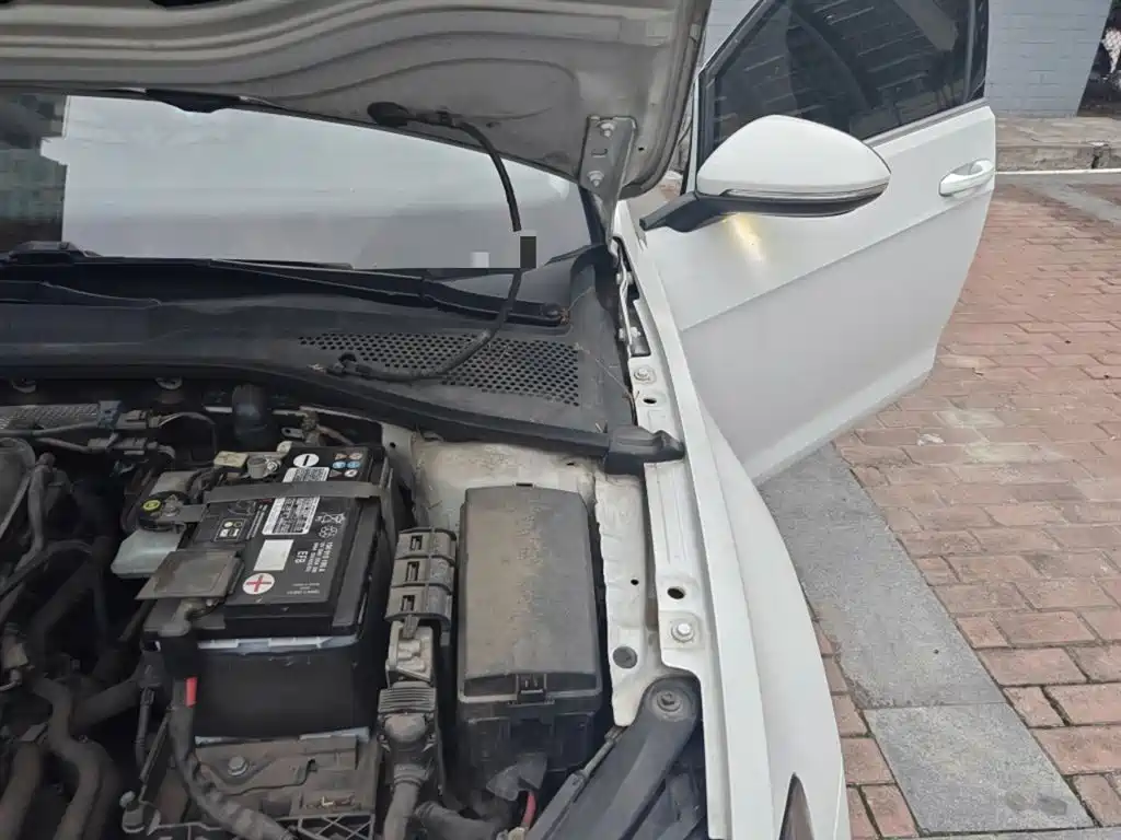 Volkswagen Golf 2019 200TSI DSG Comfort Progressive China VI фото 22
