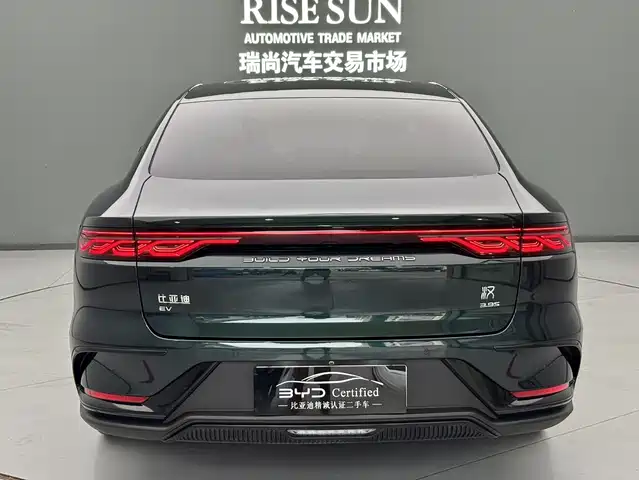 BYD Han 2022 EV 610KM AWD Qianshan Green Limited Edition — фото 5