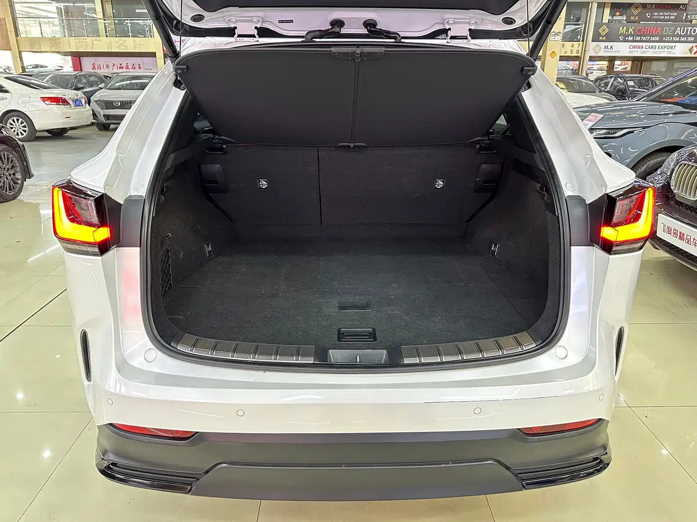 LEXUS NX