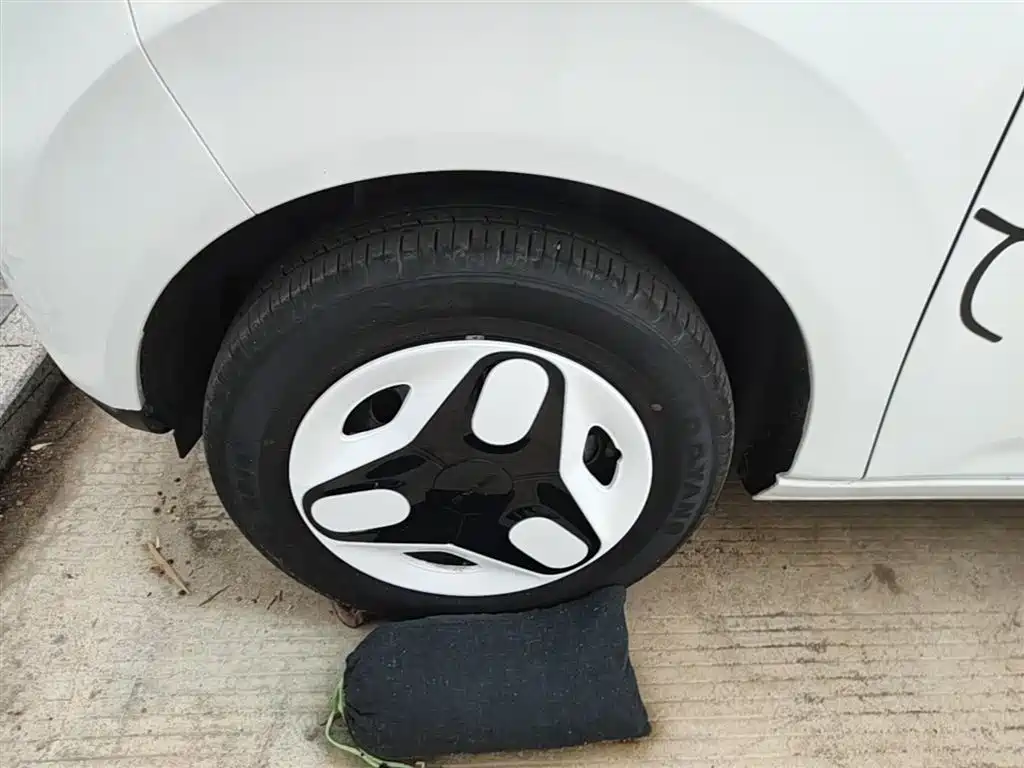 Geely Galaxy Panda 2025 Panda mini 210km Vitality Bear фото 23