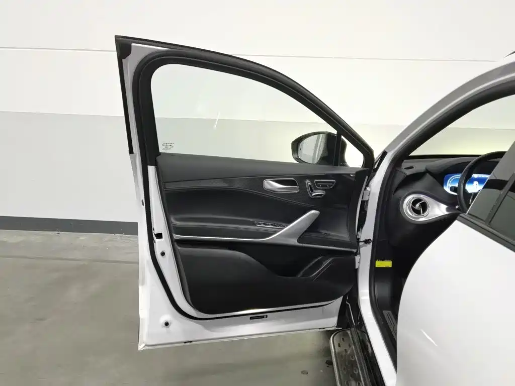 Denza X 2020 2020 PHEV Sport Edition