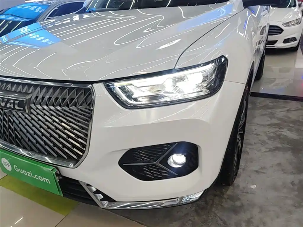 Haval H6 2021 1.5GDIT Automatic Champion Edition фото 24