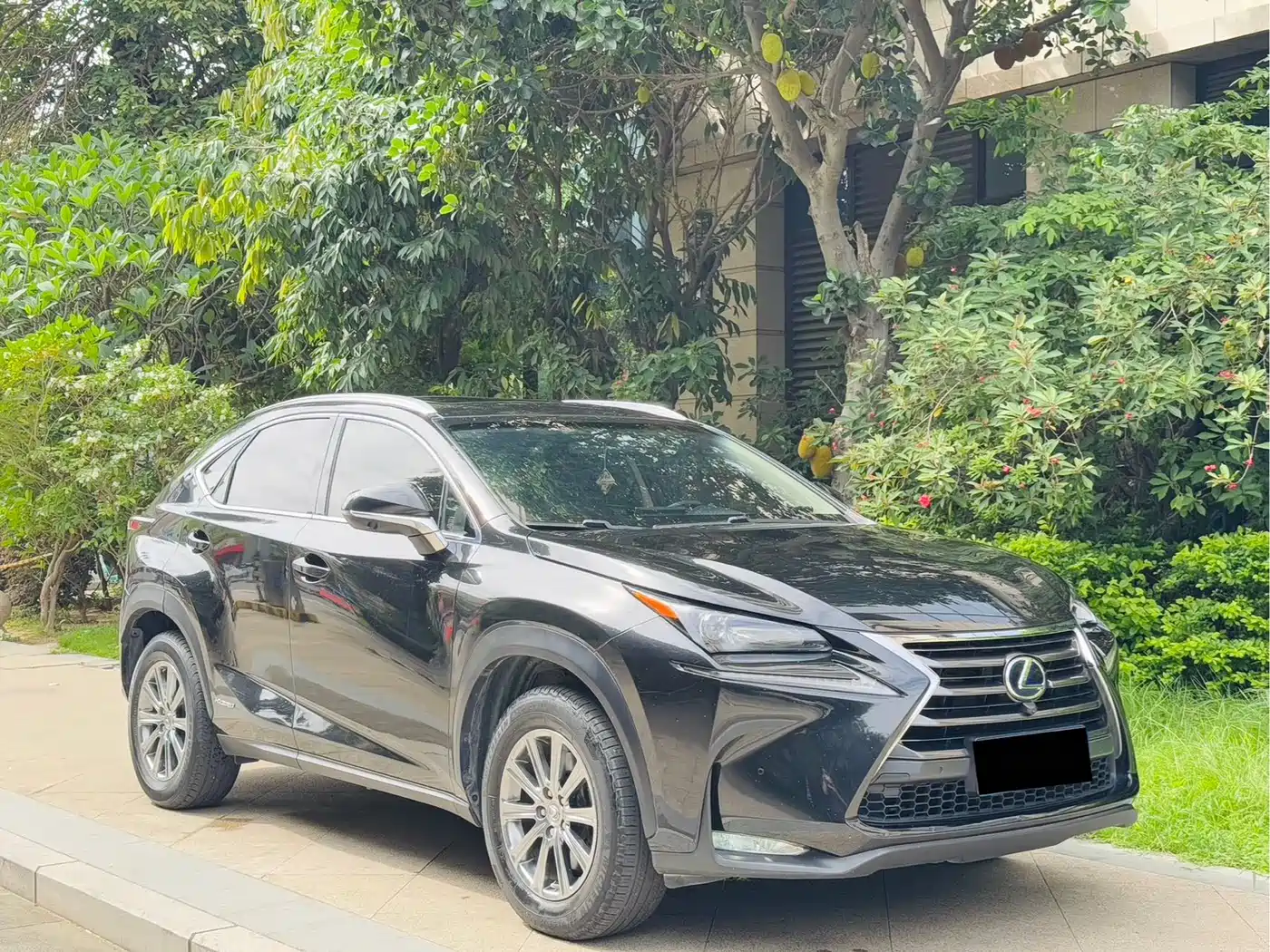 Lexus NX 2017 300h FWD Sharp Style Edition фото 3