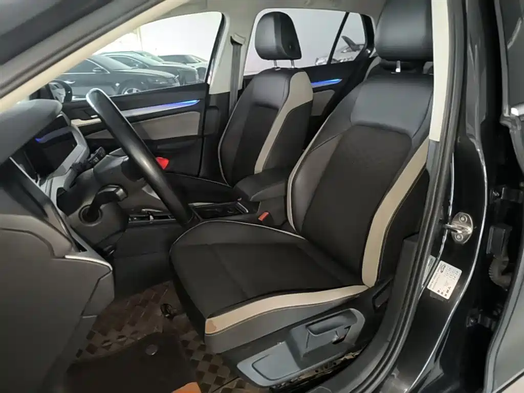 Volkswagen Golf 2021 280TSI DSG 30th Anniversary Edition фото 15