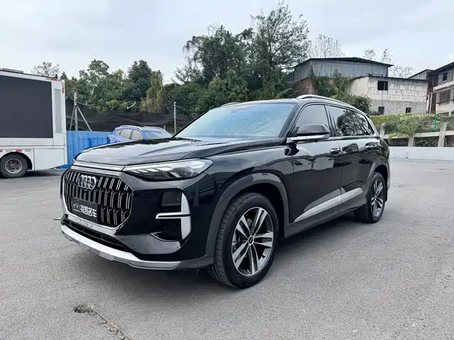  Audi Audi Q6 2025 40 TFSI quattro Commemorative Edition Yulin Package 7-Seater