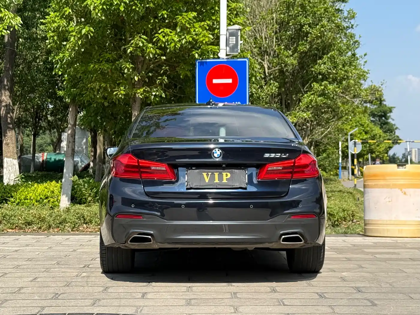 BMW 5 Series 2019 Facelift 530Li Leading M Sport Package фото 8