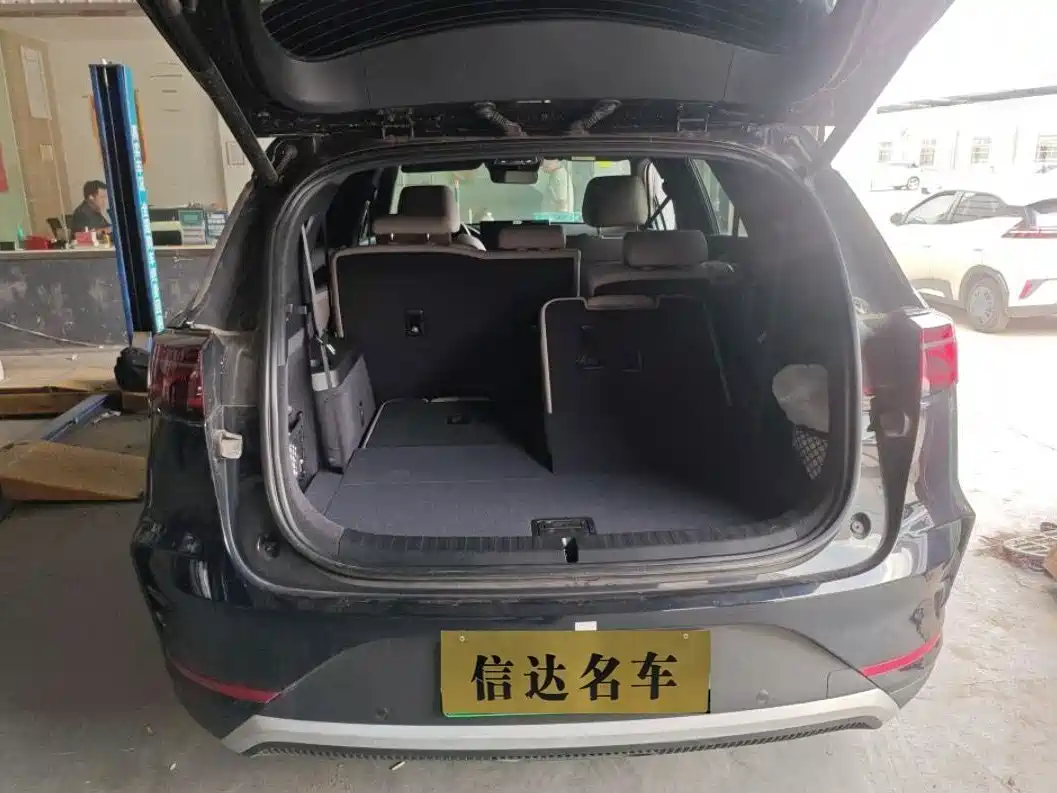 BYD Tang New Energy 2025 2025 Smart Driving Edition DM-i 115KM Premium